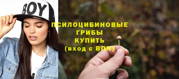 МДПВ Белокуриха