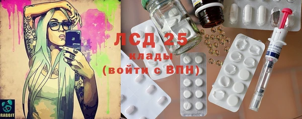 ПСИЛОЦИБИНОВЫЕ ГРИБЫ Беломорск