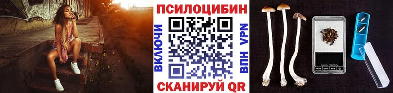 где можно купить   Армавир  Псилоцибиновые грибы прущие грибы 